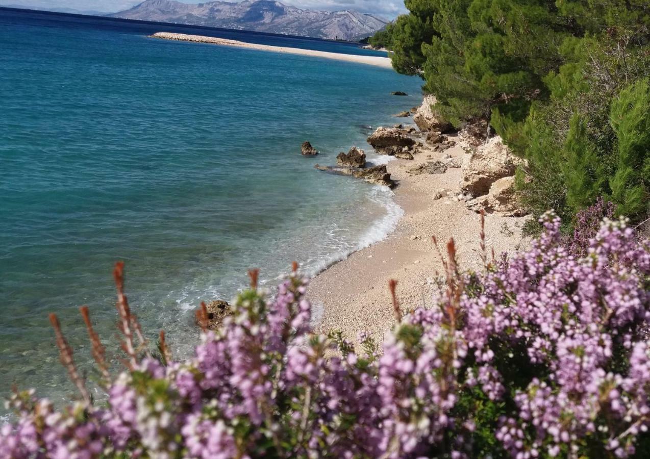 Ivka * Makarska