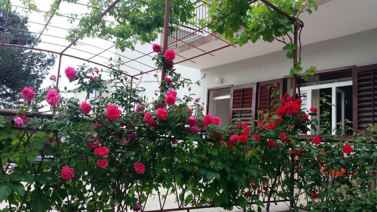 Apartment Ivka